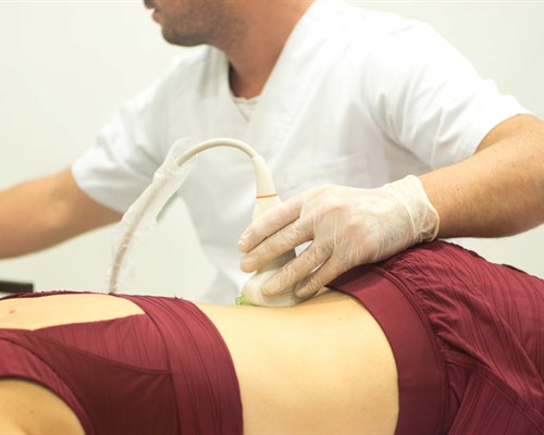 EXPLORING ECHOLIGHT — A NOVEL WAY TO MONITOR OSTEOPOROSIS